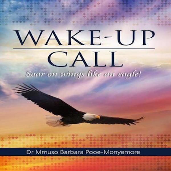 Eagle　Wake-Up　Soar　Barbar　Dr　An　Mmuso　Chapter　On　Call　Like　and　(Paperback)　Wings　Books　New　Gifts